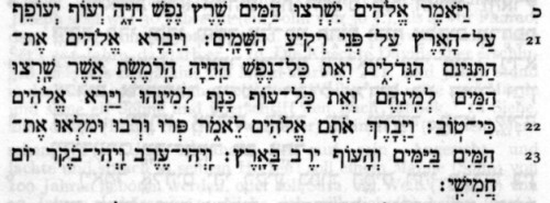 Genesis 1,20-23 in hebrischer Schrift