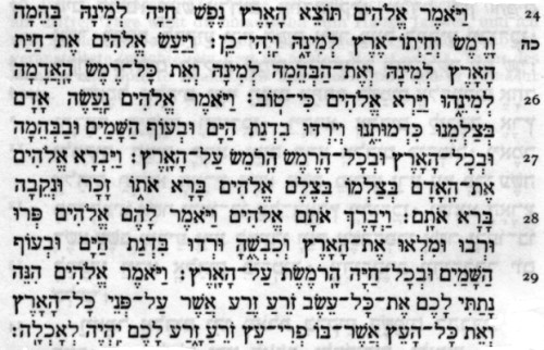 Genesis 1,24-29 in hebrischer Schrift