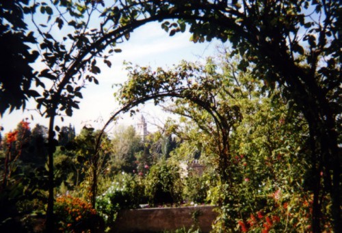 Blick vom Generalife ber das Tal hinweg zur Alhambra